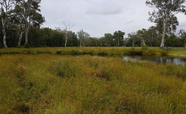 CSI Soil Testing Sunshine Coast